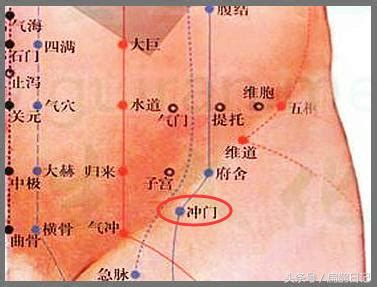 沖門|沖門穴:基本介紹,註解,氣血特徵,運行規律,功能作用,治法,